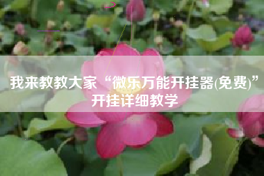 我来教教大家“微乐万能开挂器(免费)”开挂详细教学