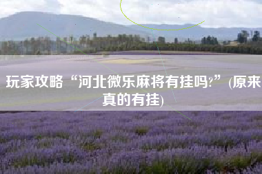 玩家攻略“河北微乐麻将有挂吗?”(原来真的有挂)