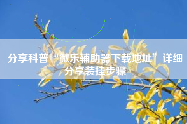 分享科普“微乐辅助器下载地址”详细分享装挂步骤