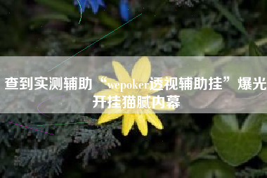 查到实测辅助“wepoker透视辅助挂	”爆光开挂猫腻内幕