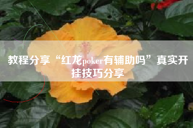 教程分享“红龙poker有辅助吗	”真实开挂技巧分享