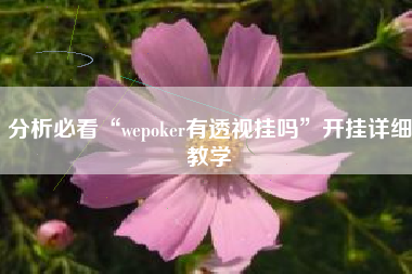 分析必看“wepoker有透视挂吗”开挂详细教学