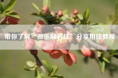 带你了解“微乐麻将挂	”分享用挂教程