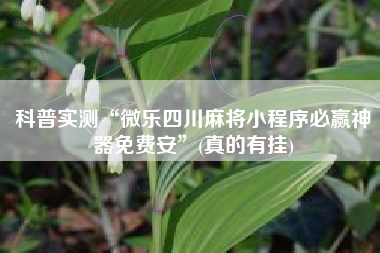 科普实测“微乐四川麻将小程序必赢神器免费安”(真的有挂)