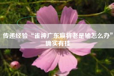 传递经验“雀神广东麻将老是输怎么办”确实有挂