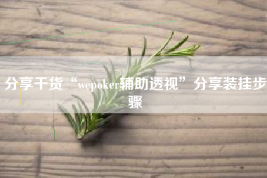 分享干货“wepoker辅助透视	”分享装挂步骤