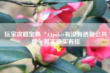 玩家攻略宝典“AApoker有没有透视公共牌”其实确实有挂