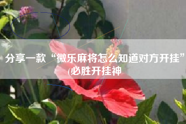 分享一款“微乐麻将怎么知道对方开挂”(必胜开挂神