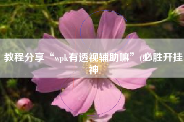 教程分享“wpk有透视辅助嘛	”(必胜开挂神