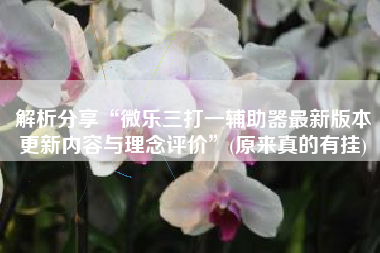 解析分享“微乐三打一辅助器最新版本更新内容与理念评价”(原来真的有挂)