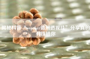 揭秘科普“wepoker德州透视挂”分享真的有挂给你