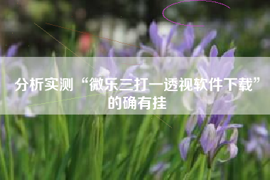 分析实测“微乐三打一透视软件下载	”的确有挂