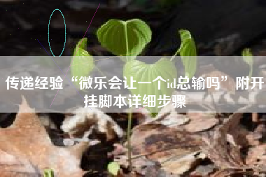 传递经验“微乐会让一个id总输吗”附开挂脚本详细步骤