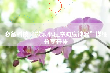 必备科技“微乐小程序助赢神器”详细分享开挂