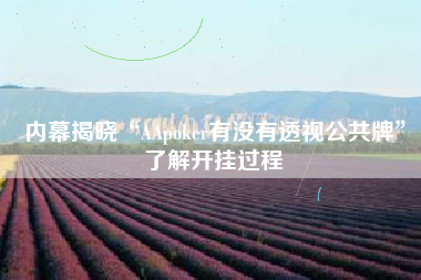 内幕揭晓“AApoker有没有透视公共牌	”了解开挂过程