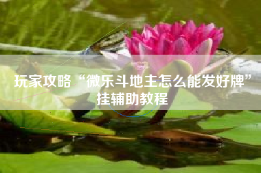 玩家攻略“微乐斗地主怎么能发好牌	”挂辅助教程