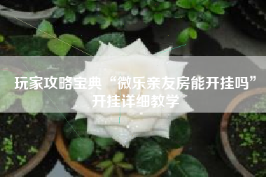 玩家攻略宝典“微乐亲友房能开挂吗	”开挂详细教学