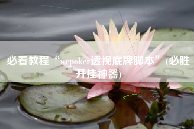 必看教程“wepoker透视底牌脚本”(必胜开挂神器)