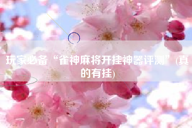 玩家必备“雀神麻将开挂神器评测”(真的有挂)