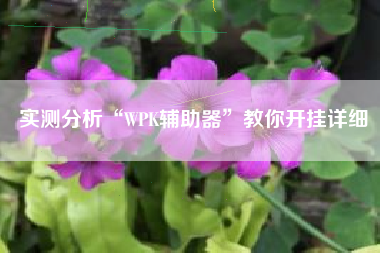 实测分析“WPK辅助器	”教你开挂详细