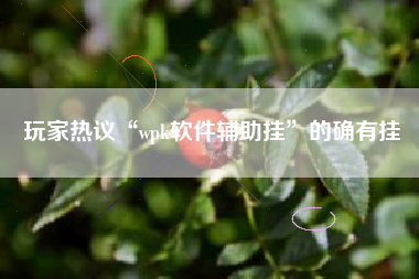 玩家热议“wpk软件辅助挂	”的确有挂