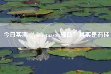 今日实测“pokermaster辅助	”其实是有挂