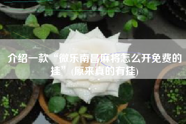 介绍一款“微乐南昌麻将怎么开免费的挂	”(原来真的有挂)