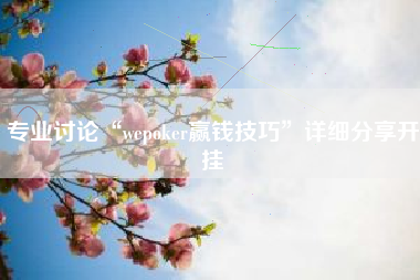 专业讨论“wepoker赢钱技巧”详细分享开挂