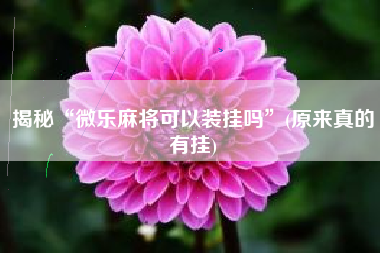 揭秘“微乐麻将可以装挂吗”(原来真的有挂)