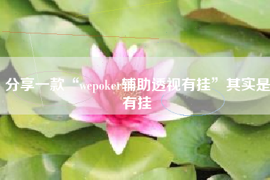分享一款“wepoker辅助透视有挂”其实是有挂