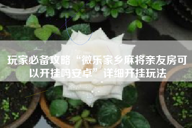 玩家必备攻略“微乐家乡麻将亲友房可以开挂吗安卓”详细开挂玩法