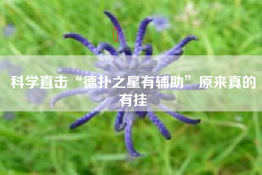 科学直击“德扑之星有辅助	”原来真的有挂