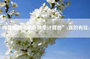 内幕揭秘“德扑胜率计算器	”(真的有挂)