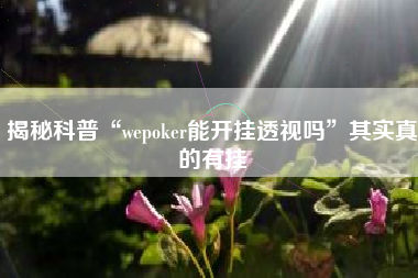 揭秘科普“wepoker能开挂透视吗”其实真的有挂