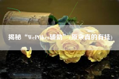 揭秘“WePOKer辅助”(原来真的有挂)
