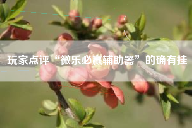 玩家点评“微乐必赢辅助器	”的确有挂