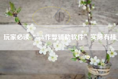 玩家必读“wpk作弊辅助软件”实际有挂