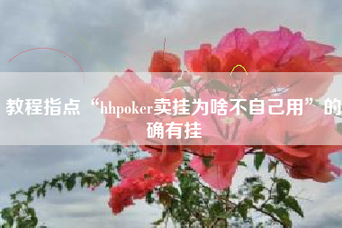 教程指点“hhpoker卖挂为啥不自己用	”的确有挂