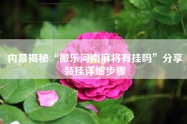 内幕揭秘“微乐河南麻将有挂吗	”分享装挂详细步骤