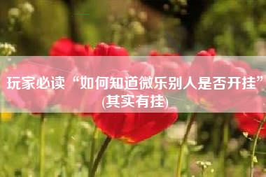 玩家必读“如何知道微乐别人是否开挂”(其实有挂)