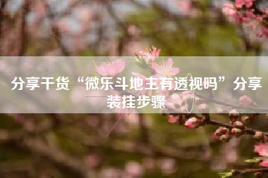 分享干货“微乐斗地主有透视吗”分享装挂步骤