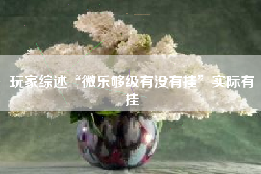 玩家综述“微乐够级有没有挂”实际有挂