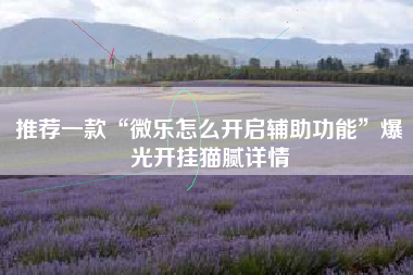 推荐一款“微乐怎么开启辅助功能”爆光开挂猫腻详情