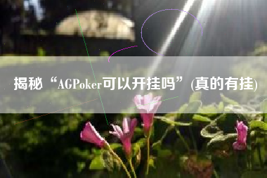 揭秘“AGPoker可以开挂吗”(真的有挂)