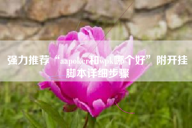 强力推荐“aapoker和wpk哪个好	”附开挂脚本详细步骤
