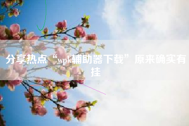 分享热点“wpk辅助器下载”原来确实有挂