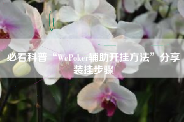 必看科普“WePoker辅助开挂方法	”分享装挂步骤