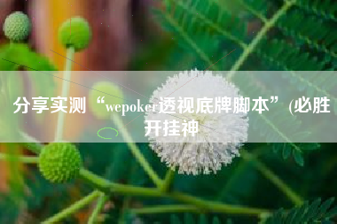 分享实测“wepoker透视底牌脚本”(必胜开挂神