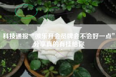 科技通报“微乐开会员牌会不会好一点”分享真的有挂给你