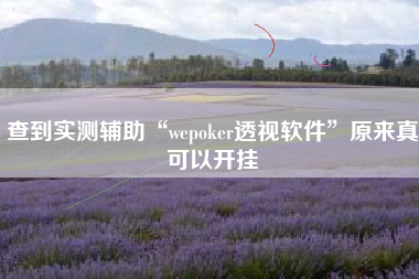 查到实测辅助“wepoker透视软件”原来真可以开挂
